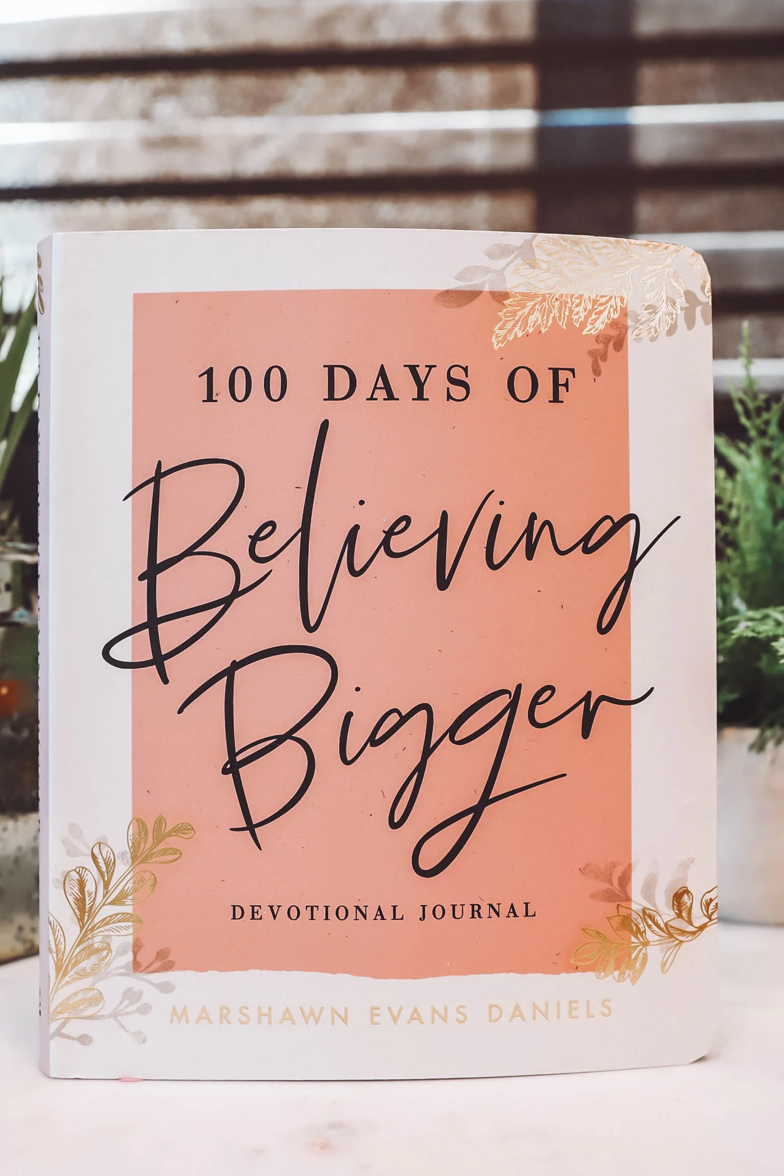 100 Days of Believing Bigger-Devotional Journal-Marshawn Evans Daniels - Image 6