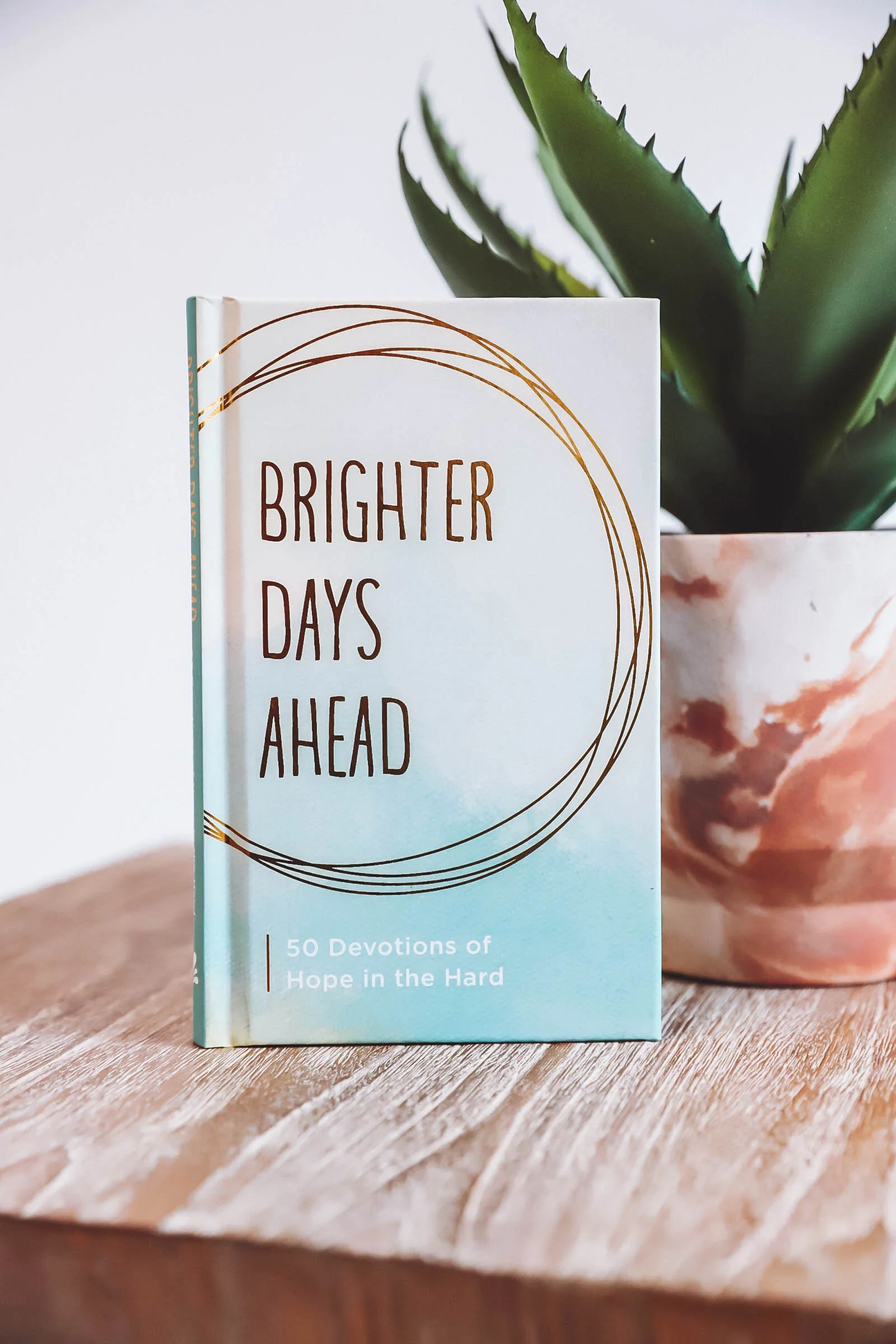 Brighter Days Ahead: 50 Devotions of Hope in the Hard - Image 8