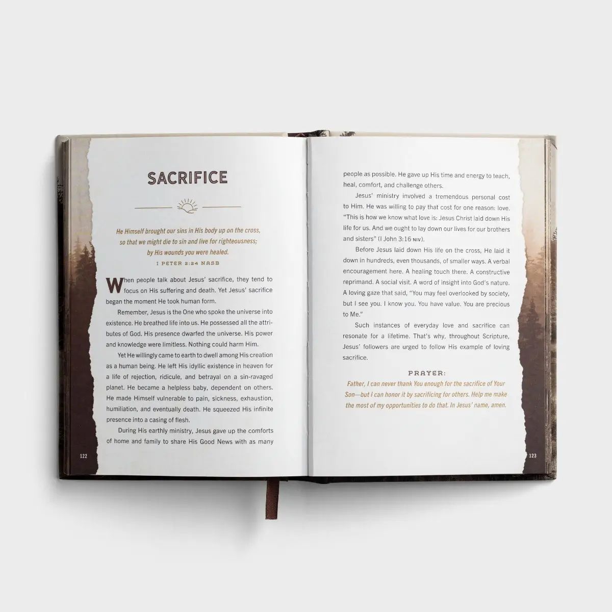 Designed for Greatness: Devotions for Men - Image 3