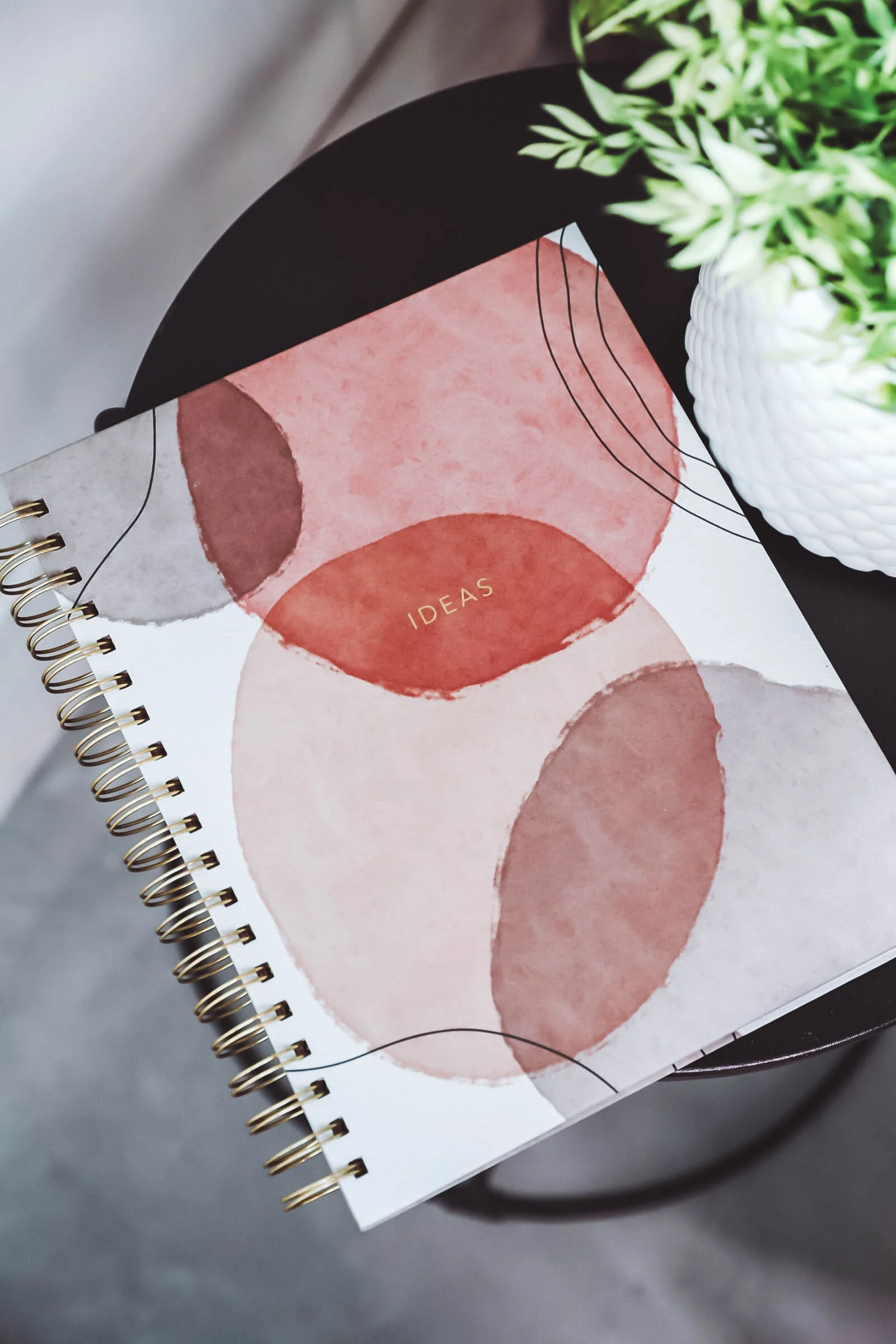 Ideas-Scripture Journal