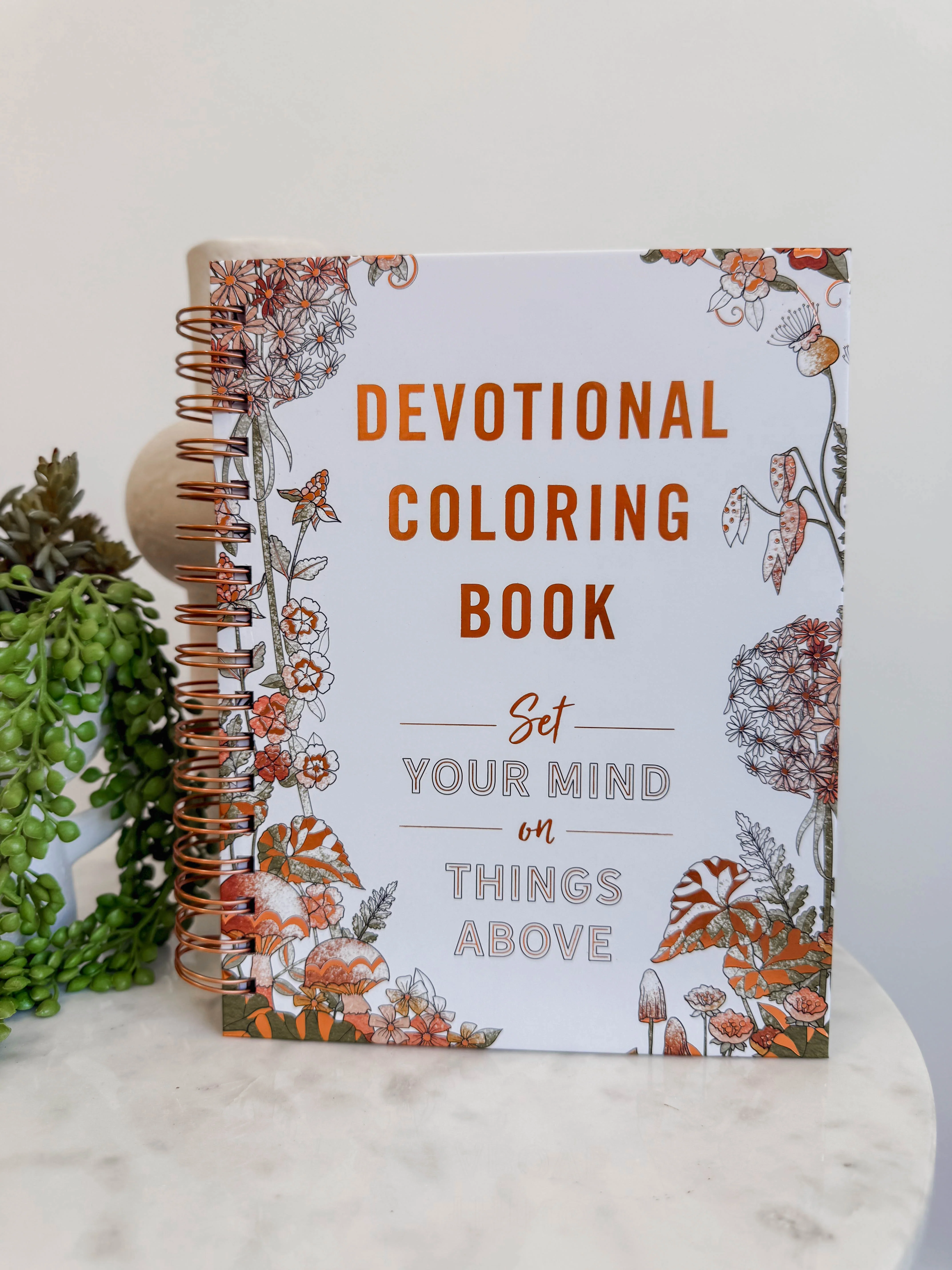 Set Your Mind on Things Above: Devotional Coloring Book