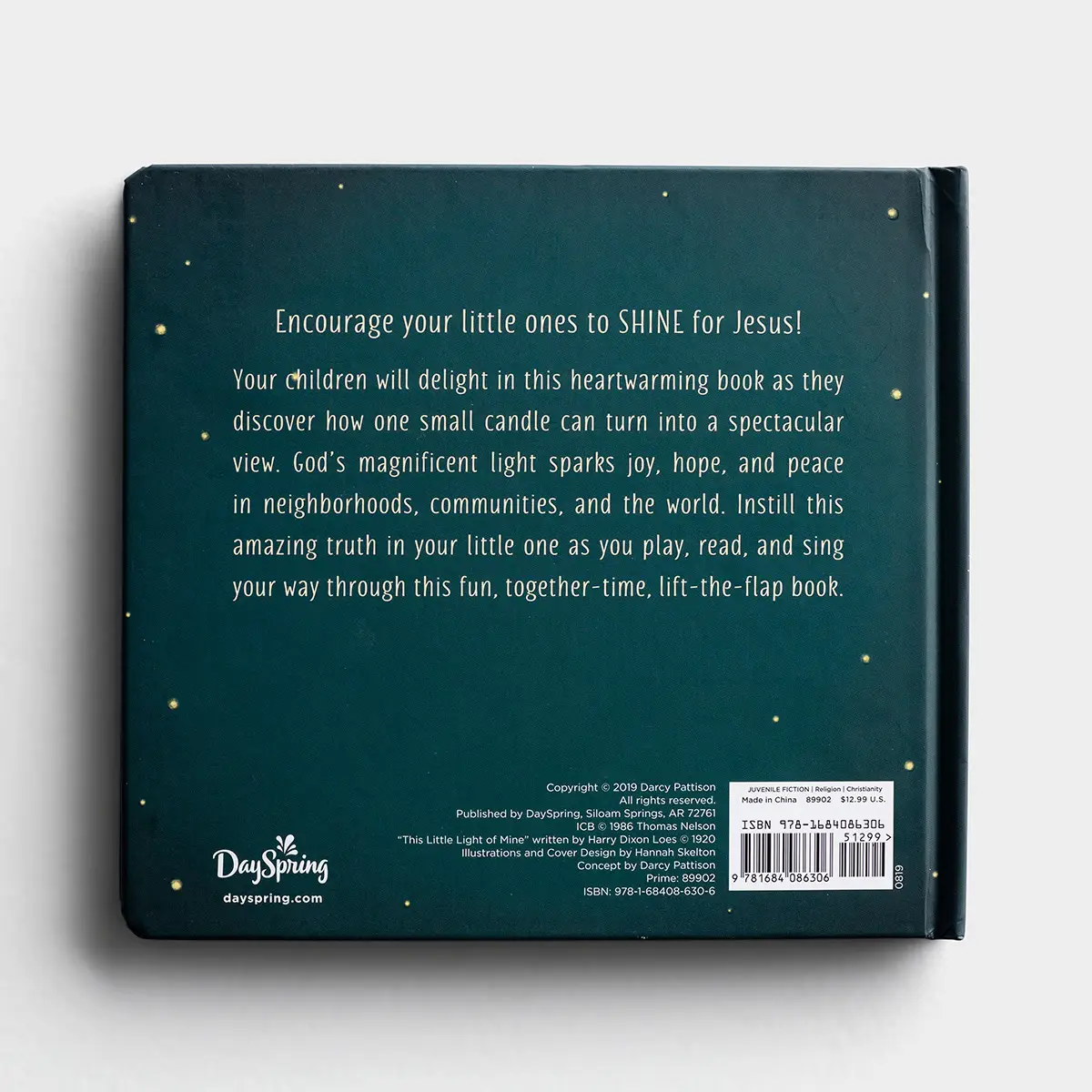 This Little Light of Mine-Lift the Flap Book-Darcy Pattison - Image 6