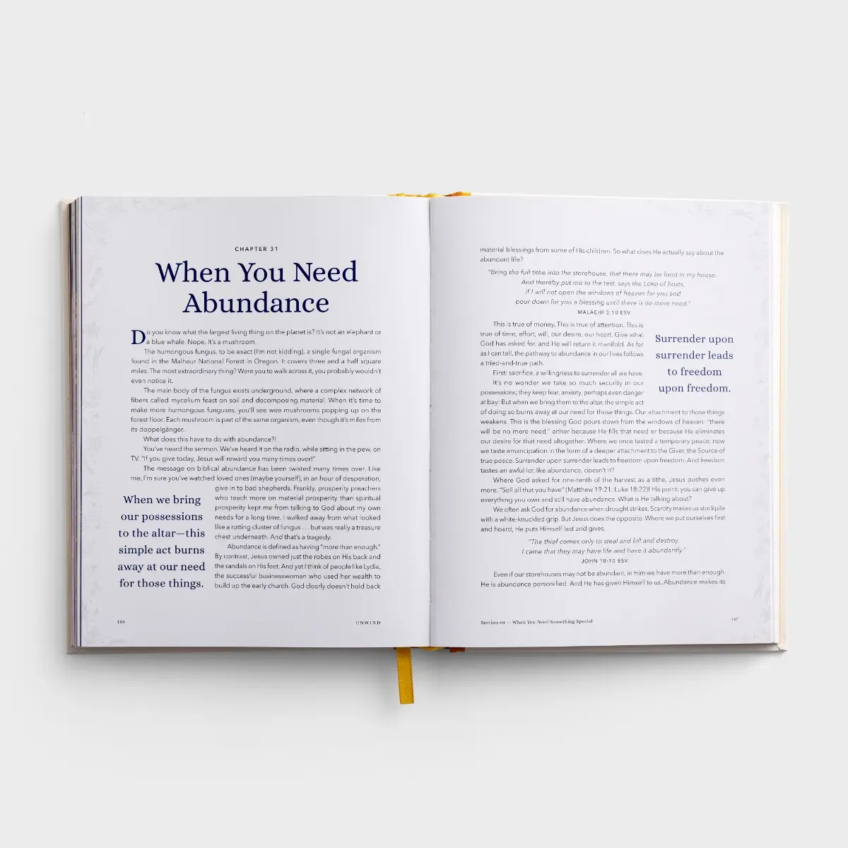 Unwind: A Devotional Cookbook for the Harried & Hungry - Image 4